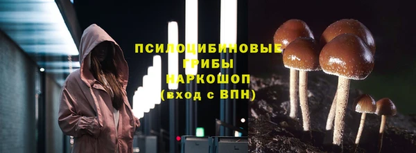 прущий лед Алексин