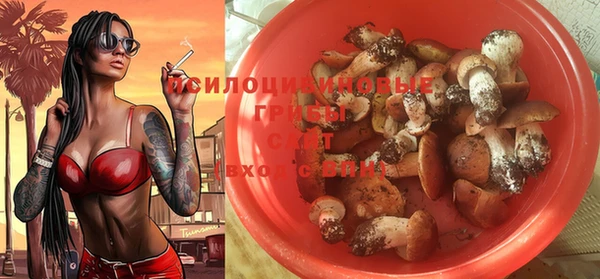 прущий лед Алексин