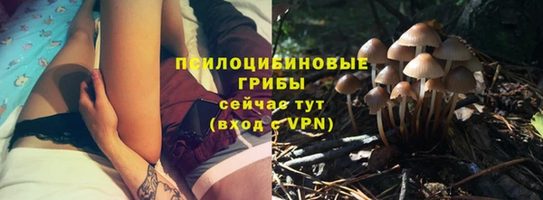 прущий лед Алексин