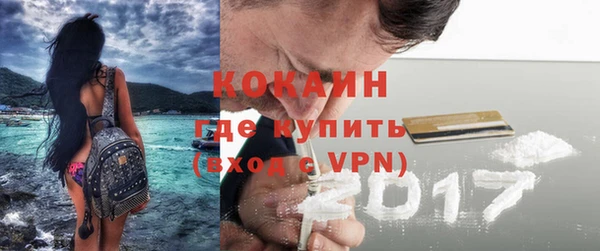 винт Инта
