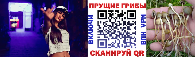Галлюциногенные грибы мицелий  Советский 